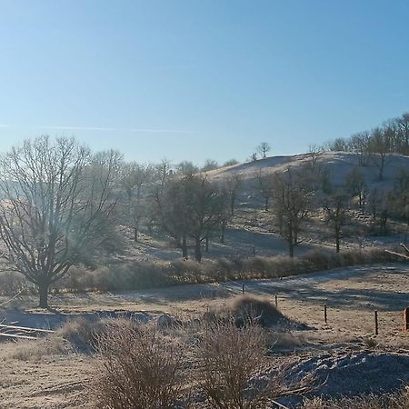 Pension Freudenthal Wandersleben 外观 照片