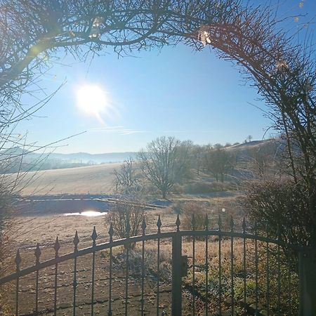 Pension Freudenthal Wandersleben 外观 照片
