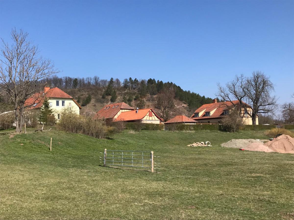 Pension Freudenthal Wandersleben 外观 照片
