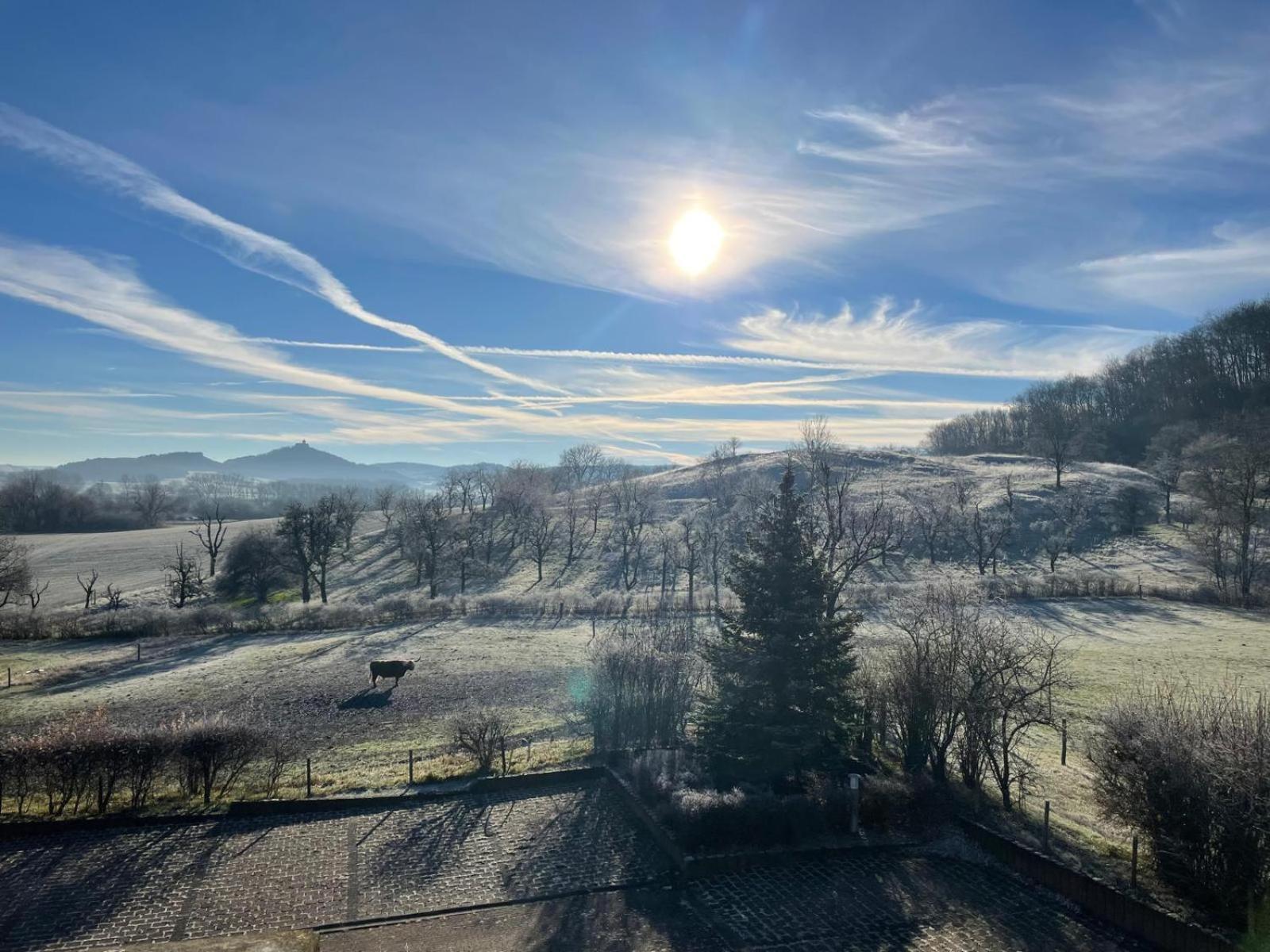 Pension Freudenthal Wandersleben 外观 照片