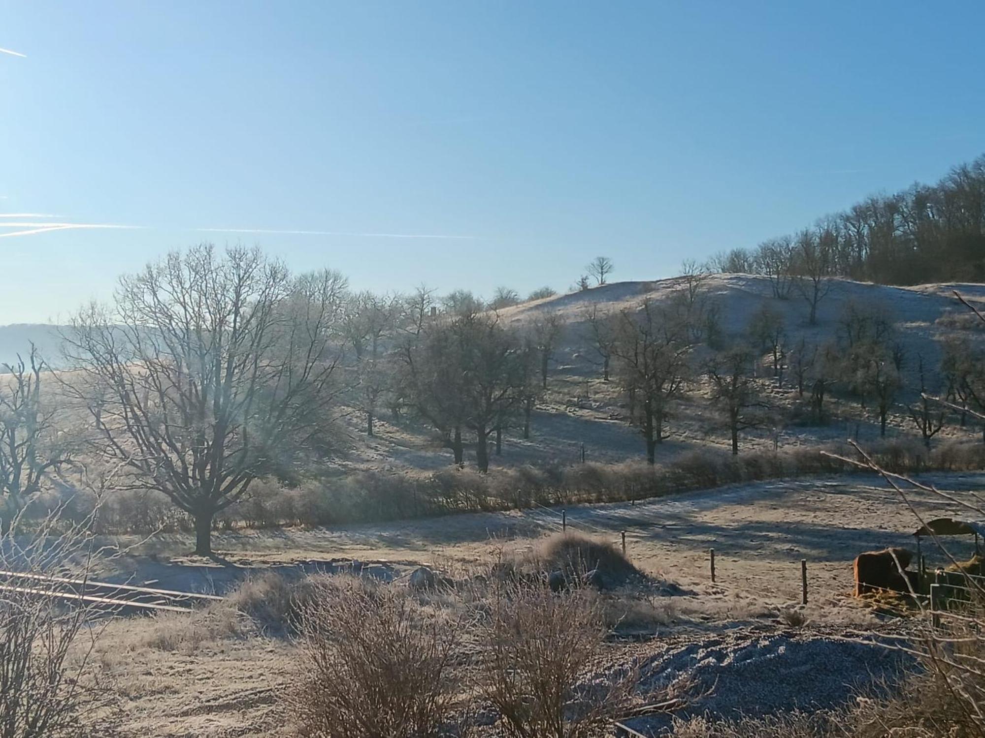 Pension Freudenthal Wandersleben 外观 照片
