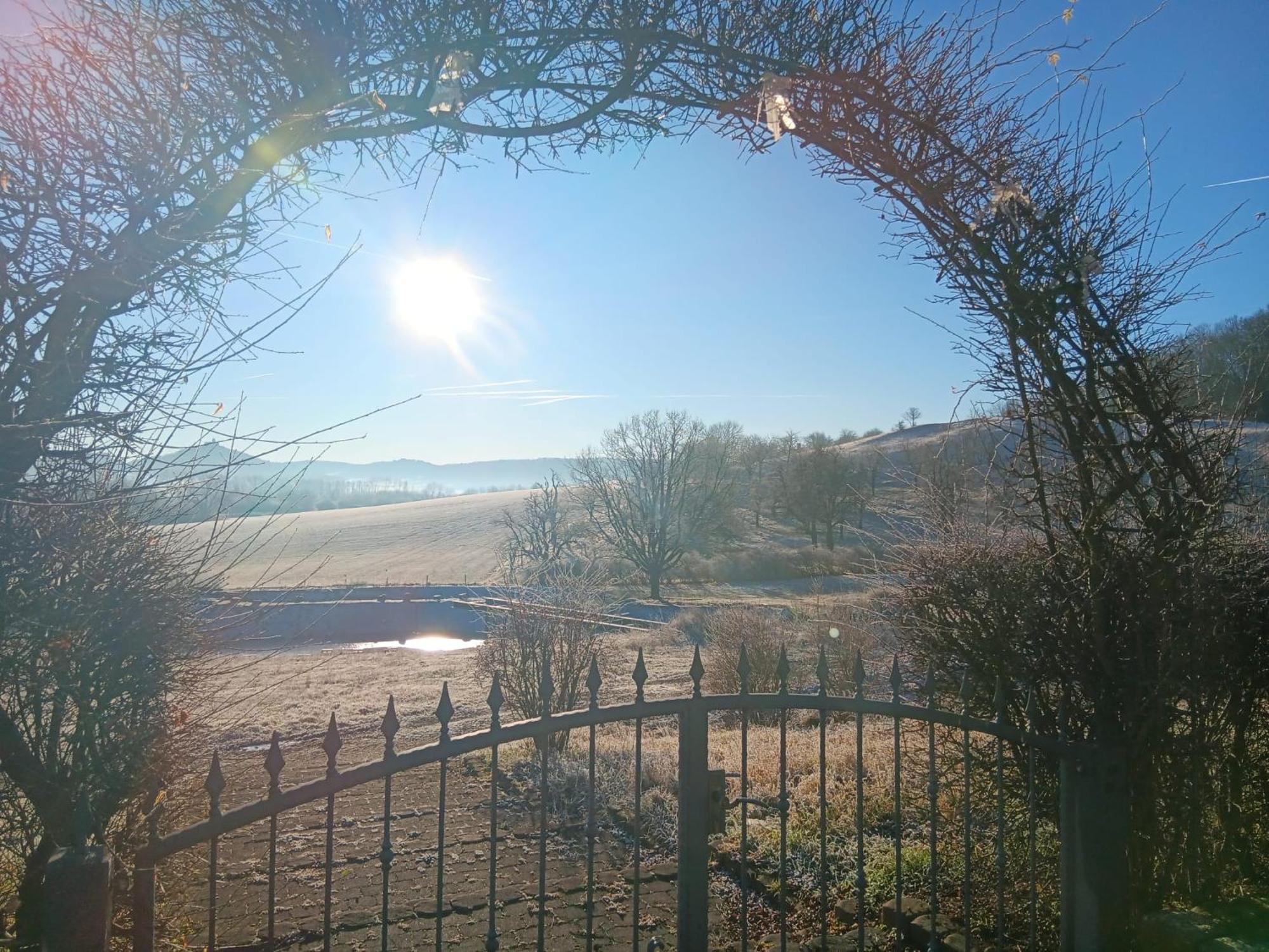 Pension Freudenthal Wandersleben 外观 照片